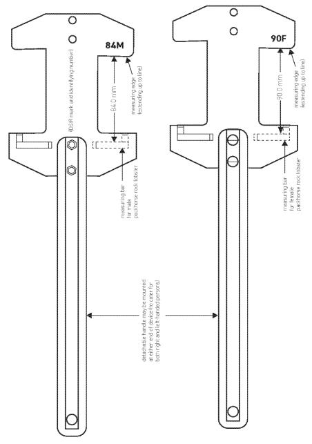 tail-width measuring device for packhorse rock lobster