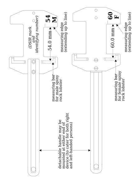 Tail-width measuring device for spiny rock lobster