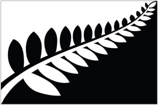 Silver fern (black and white)